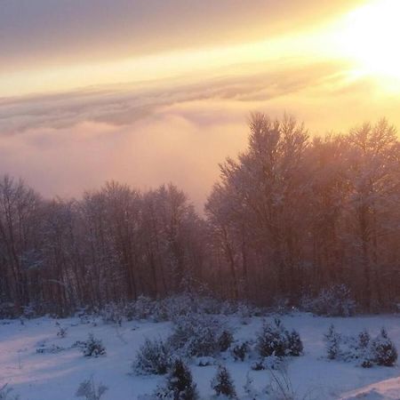 Goma Kop Apartmani Kopaonik Zewnętrze zdjęcie