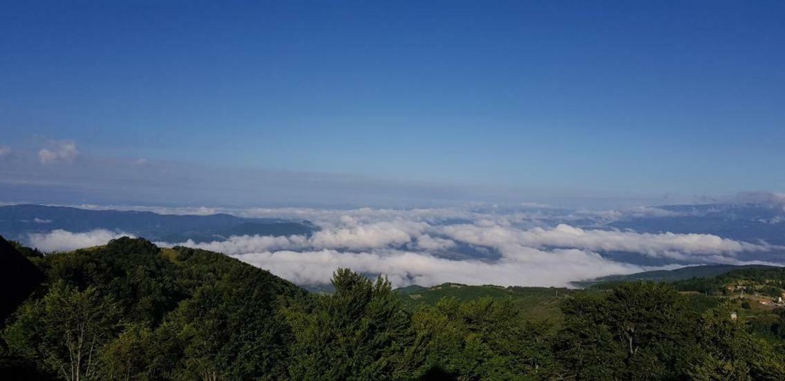 Goma Kop Apartmani Kopaonik Zewnętrze zdjęcie